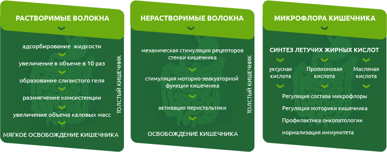 Нерастворимые пищевые волокна. Растворимые и нерастворимые пищевые волокна. Клетчатка нерастворимые пищевые волокна. Растворимые и нерастворимые пищевые волокна таблица. Классификация пищевых волокон.