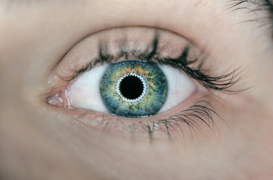 Регулярное употребление брокколи поможет поддержать хорошее зрение, фото