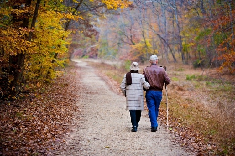 Ежедневные прогулки помогут улучшить работу кишечника и усилить действие слабительных для пожилых, фото