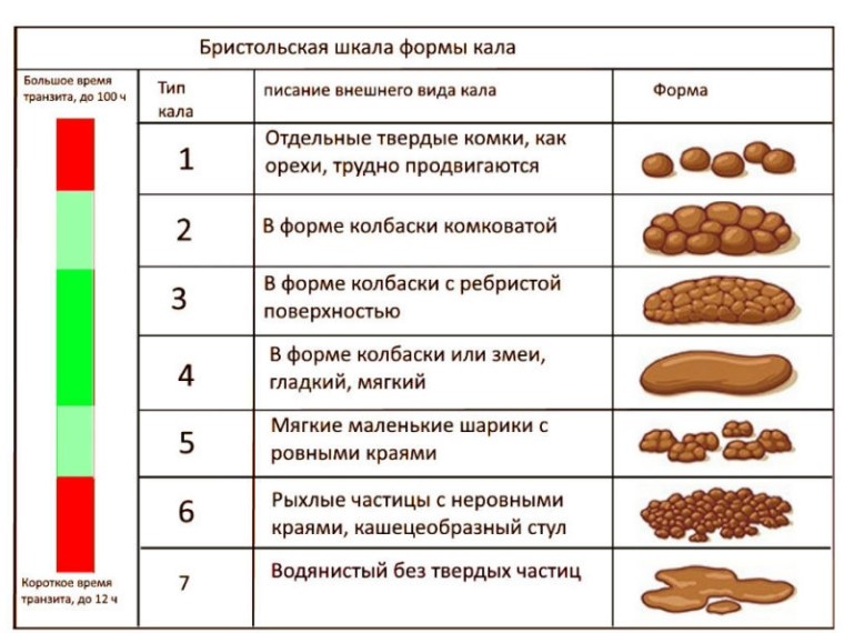 анализ кала у ребенка что показывает